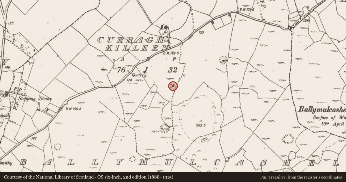 Ordnance Survey six-inch map, 2nd edition (1888–1915) covering the location of Ringfort - cashel, Ballymulcashel, Curraghkilleen, County Clare, with a pin at the register's coordinates