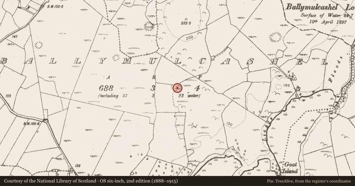 Ordnance Survey six-inch map, 2nd edition (1888–1915) covering the location of Ringfort - cashel, Ballymulcashel, County Clare, with a pin at the register's coordinates