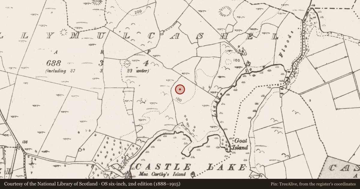 Ordnance Survey six-inch map, 2nd edition (1888–1915) covering the location of Enclosure, Ballymulcashel, County Clare, with a pin at the register's coordinates
