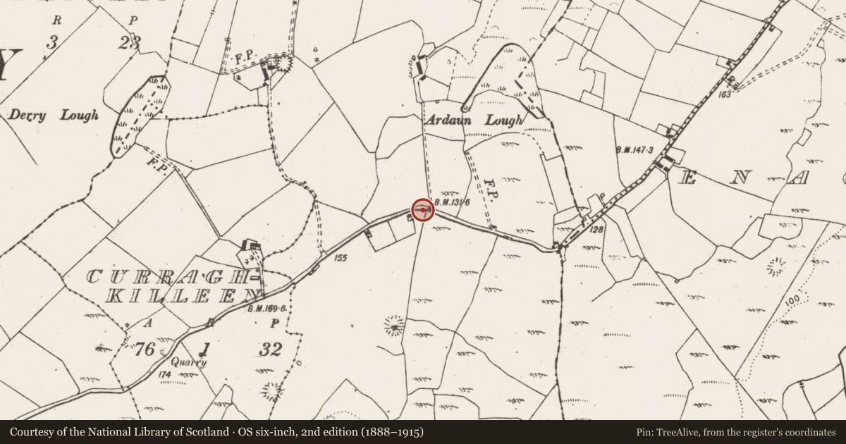 Ordnance Survey six-inch map, 2nd edition (1888–1915) covering the location of Enclosure, Ballymulcashel, County Clare, with a pin at the register's coordinates