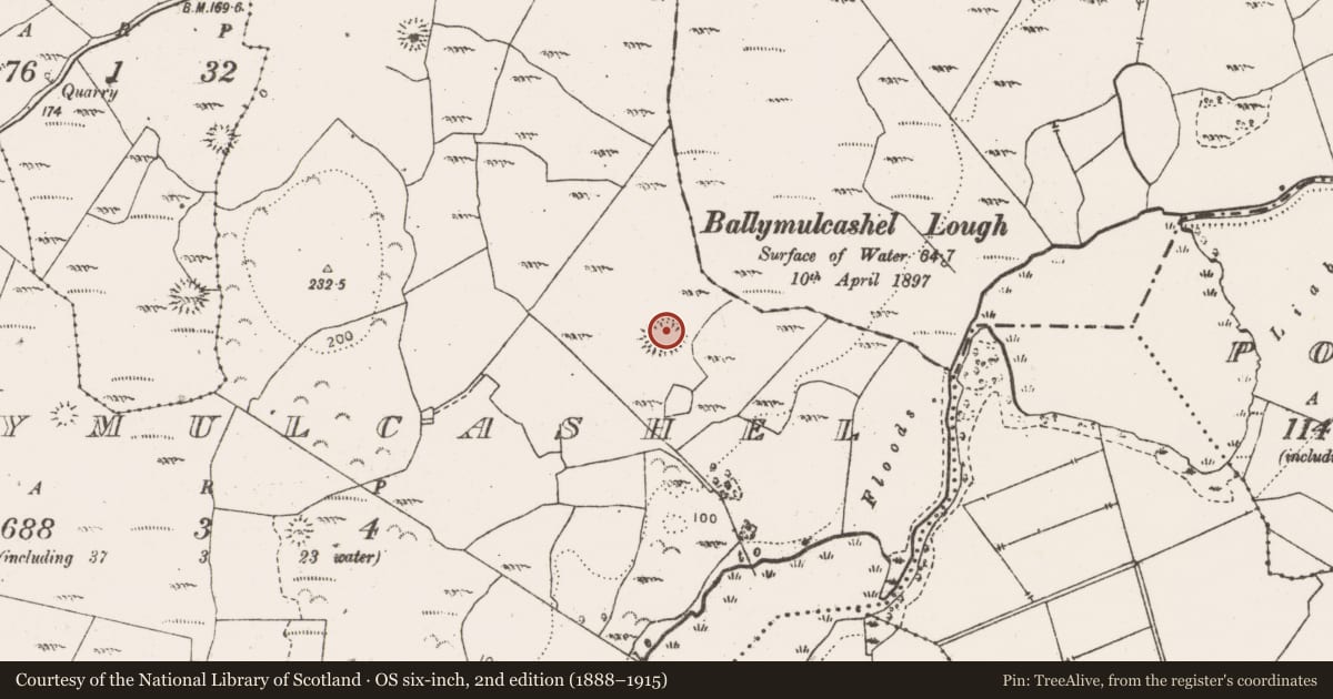 Ordnance Survey six-inch map, 2nd edition (1888–1915) covering the location of Enclosure, Ballymulcashel, County Clare, with a pin at the register's coordinates