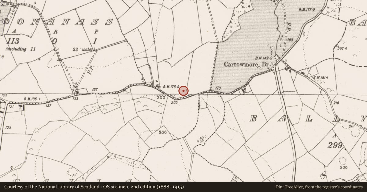 Ordnance Survey six-inch map, 2nd edition (1888–1915) covering the location of Enclosure, Ballynevan, County Clare, with a pin at the register's coordinates