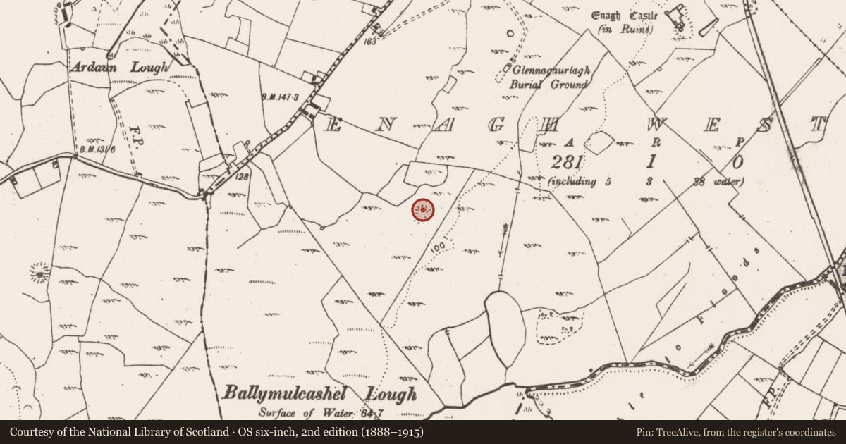 Ordnance Survey six-inch map, 2nd edition (1888–1915) covering the location of Ringfort - cashel, Enagh West, County Clare, with a pin at the register's coordinates