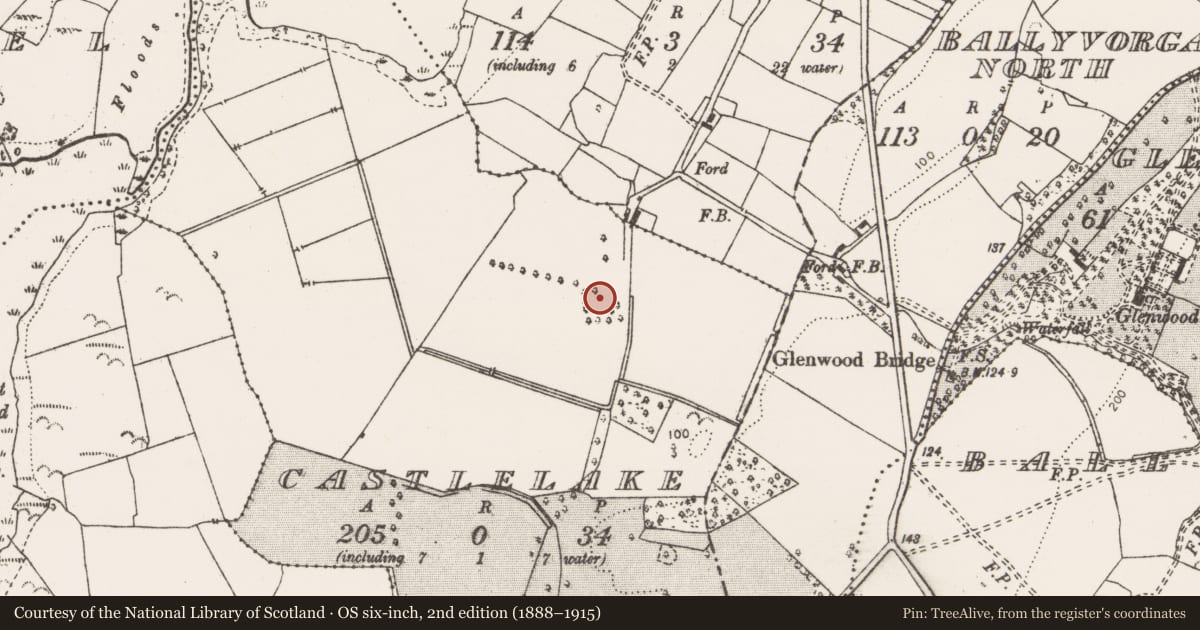 Ordnance Survey six-inch map, 2nd edition (1888–1915) covering the location of Enclosure, Castlelake, County Clare, with a pin at the register's coordinates