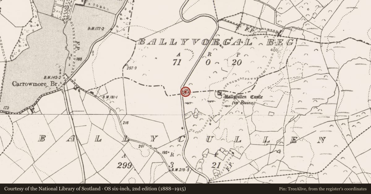 Ordnance Survey six-inch map, 2nd edition (1888–1915) covering the location of Ringfort - unclassified, Ballycullen, Ballyvorgal Beg, County Clare, with a pin at the register's coordinates