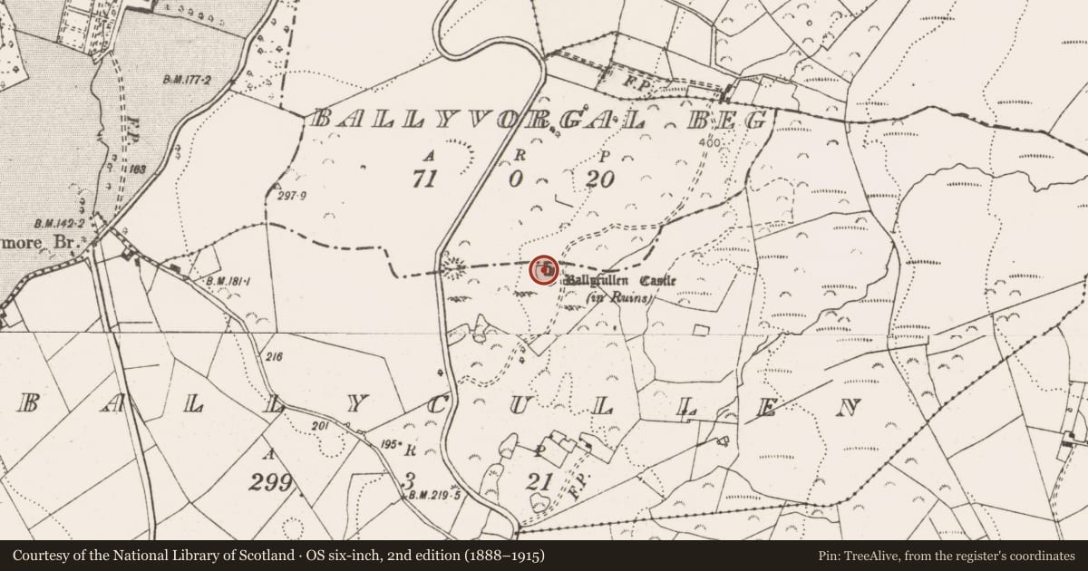 Ordnance Survey six-inch map, 2nd edition (1888–1915) covering the location of Castle - unclassified, Ballycullen, County Clare, with a pin at the register's coordinates
