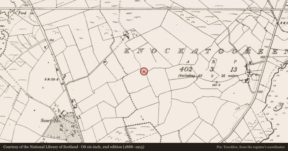 Ordnance Survey six-inch map, 2nd edition (1888–1915) covering the location of Enclosure, Knockatooreen, County Clare, with a pin at the register's coordinates