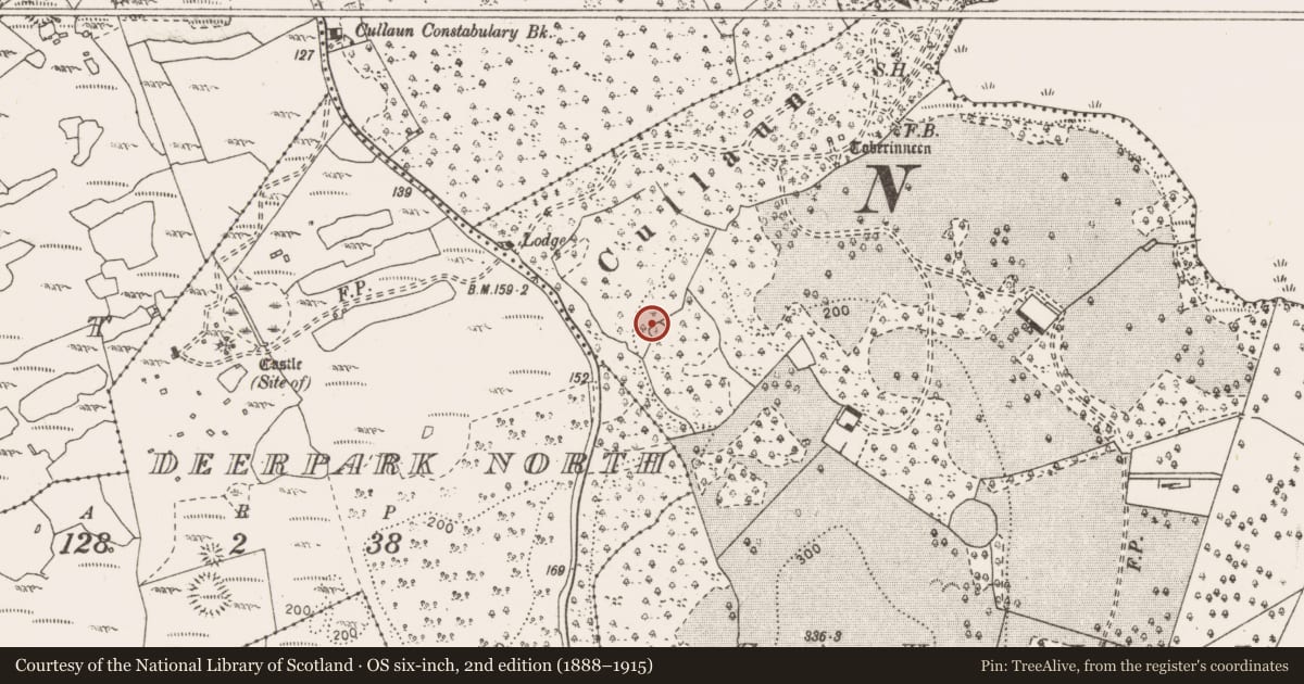 Ordnance Survey six-inch map, 2nd edition (1888–1915) covering the location of Enclosure, Cullaun, County Clare, with a pin at the register's coordinates