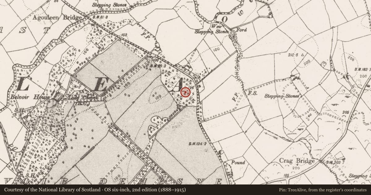Ordnance Survey six-inch map, 2nd edition (1888–1915) covering the location of Enclosure, Belvoir Demesne, County Clare, with a pin at the register's coordinates