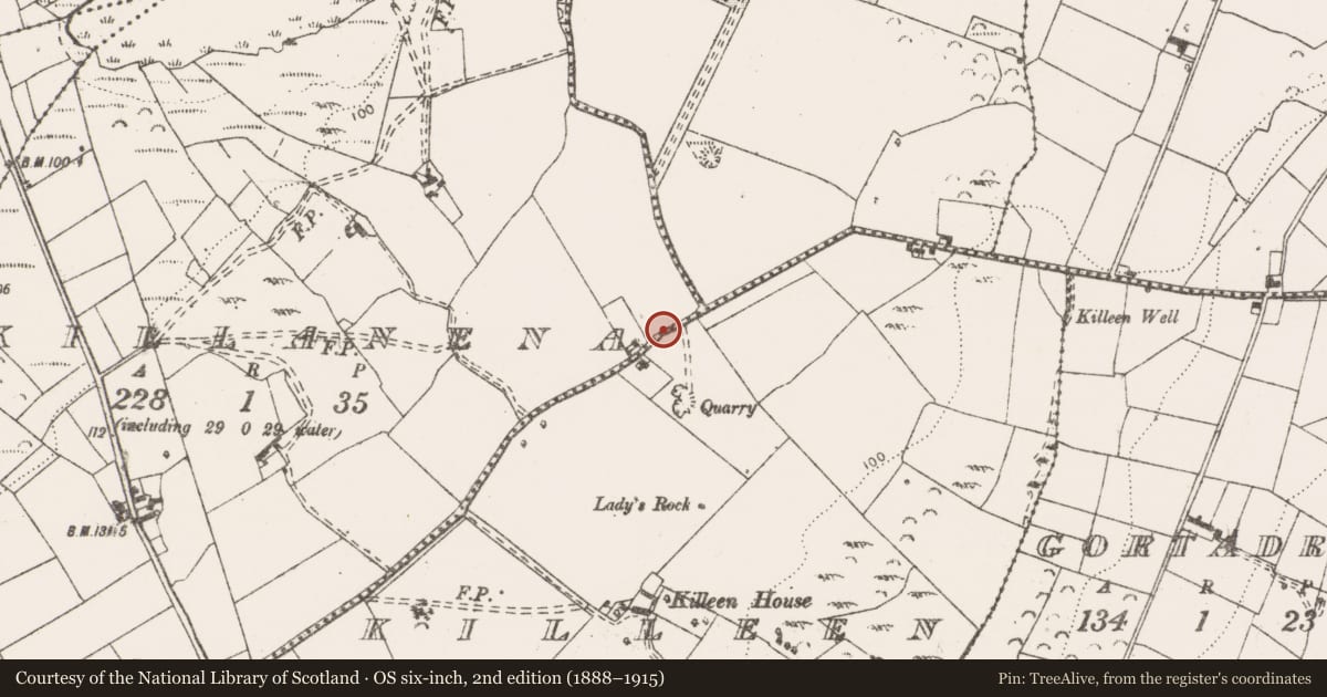 Ordnance Survey six-inch map, 2nd edition (1888–1915) covering the location of Burial, Killanena, County Clare, with a pin at the register's coordinates