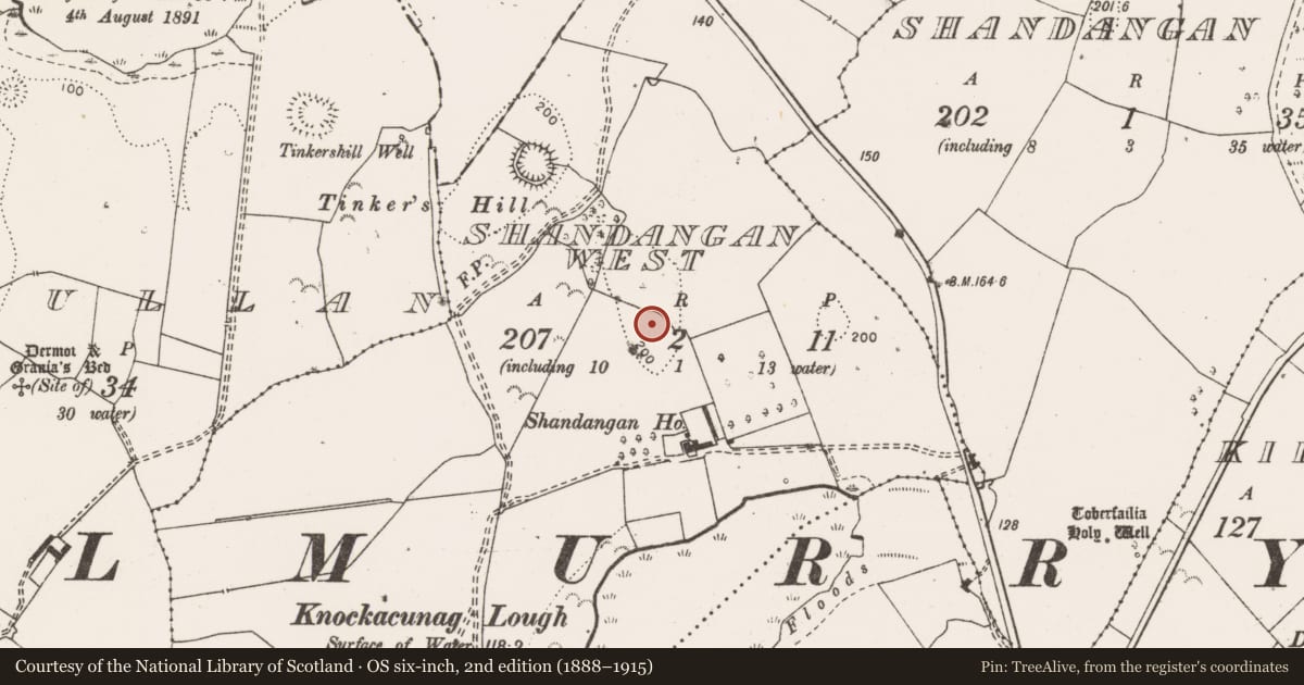 Ordnance Survey six-inch map, 2nd edition (1888–1915) covering the location of Enclosure, Shandangan West, County Clare, with a pin at the register's coordinates