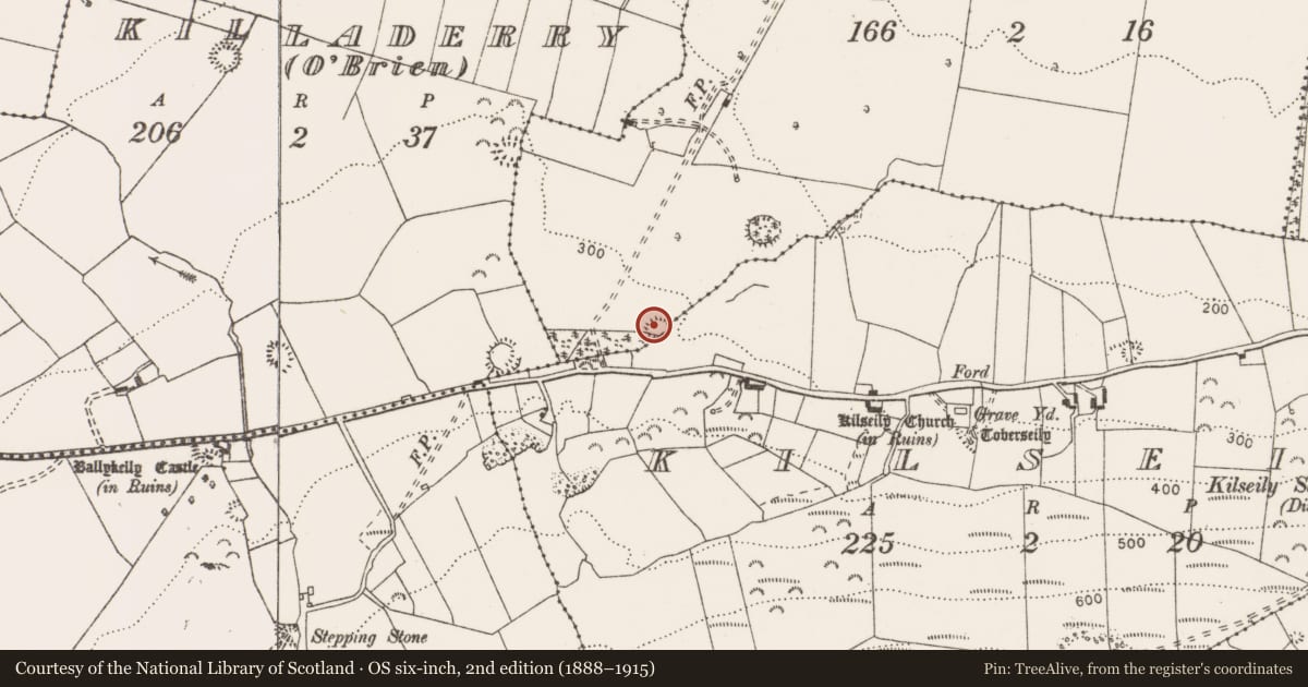 Ordnance Survey six-inch map, 2nd edition (1888–1915) covering the location of Enclosure, Kilseily, Killaderry (Massy), County Clare, with a pin at the register's coordinates