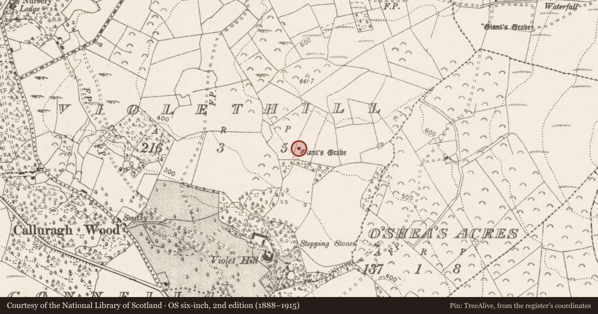 Ordnance Survey six-inch map, 2nd edition (1888–1915) covering the location of Megalithic tomb - wedge tomb, Violethill, County Clare, with a pin at the register's coordinates