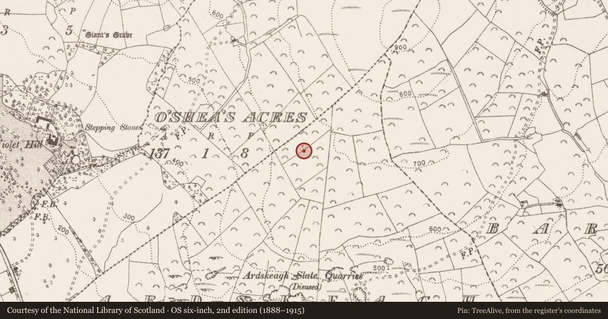 Ordnance Survey six-inch map, 2nd edition (1888–1915) covering the location of Megalithic tomb - wedge tomb, Ardskeagh, County Clare, with a pin at the register's coordinates