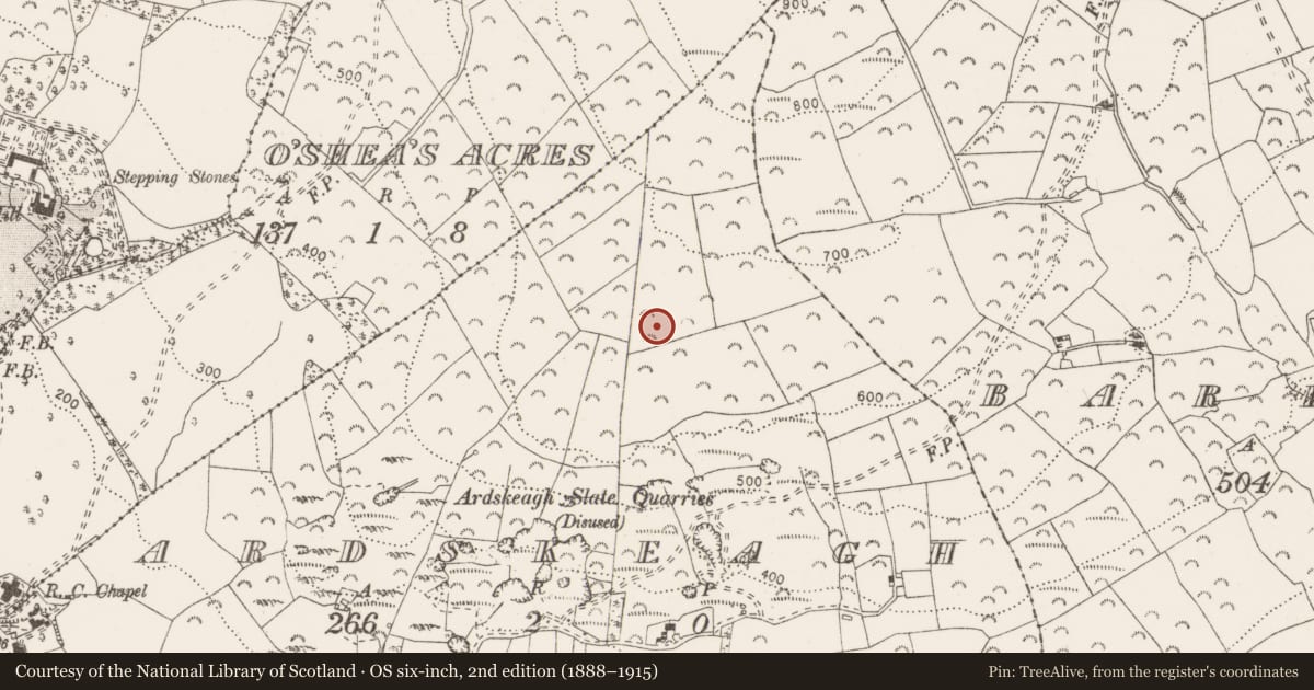 Ordnance Survey six-inch map, 2nd edition (1888–1915) covering the location of Megalithic tomb - unclassified, Ardskeagh, County Clare, with a pin at the register's coordinates