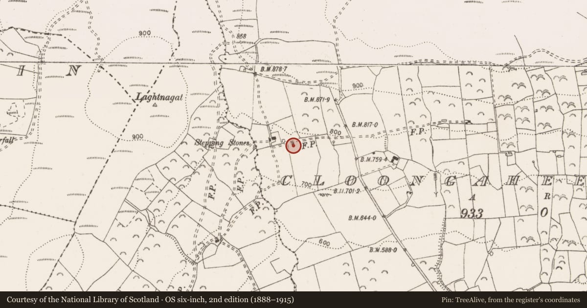 Ordnance Survey six-inch map, 2nd edition (1888–1915) covering the location of Megalithic tomb - wedge tomb, Cloongaheen West, County Clare, with a pin at the register's coordinates