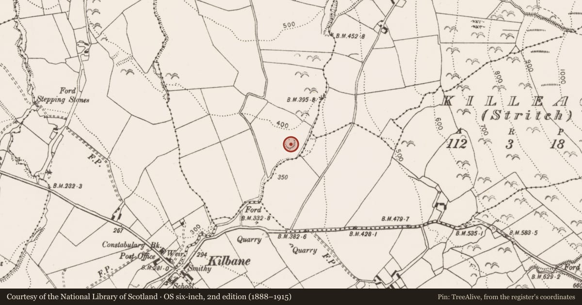 Ordnance Survey six-inch map, 2nd edition (1888–1915) covering the location of Enclosure, Shannaknock, County Clare, with a pin at the register's coordinates