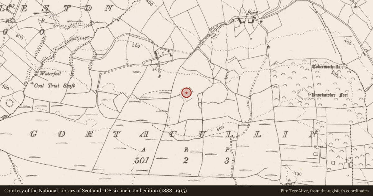 Ordnance Survey six-inch map, 2nd edition (1888–1915) covering the location of Enclosure, Gortacullin, County Clare, with a pin at the register's coordinates