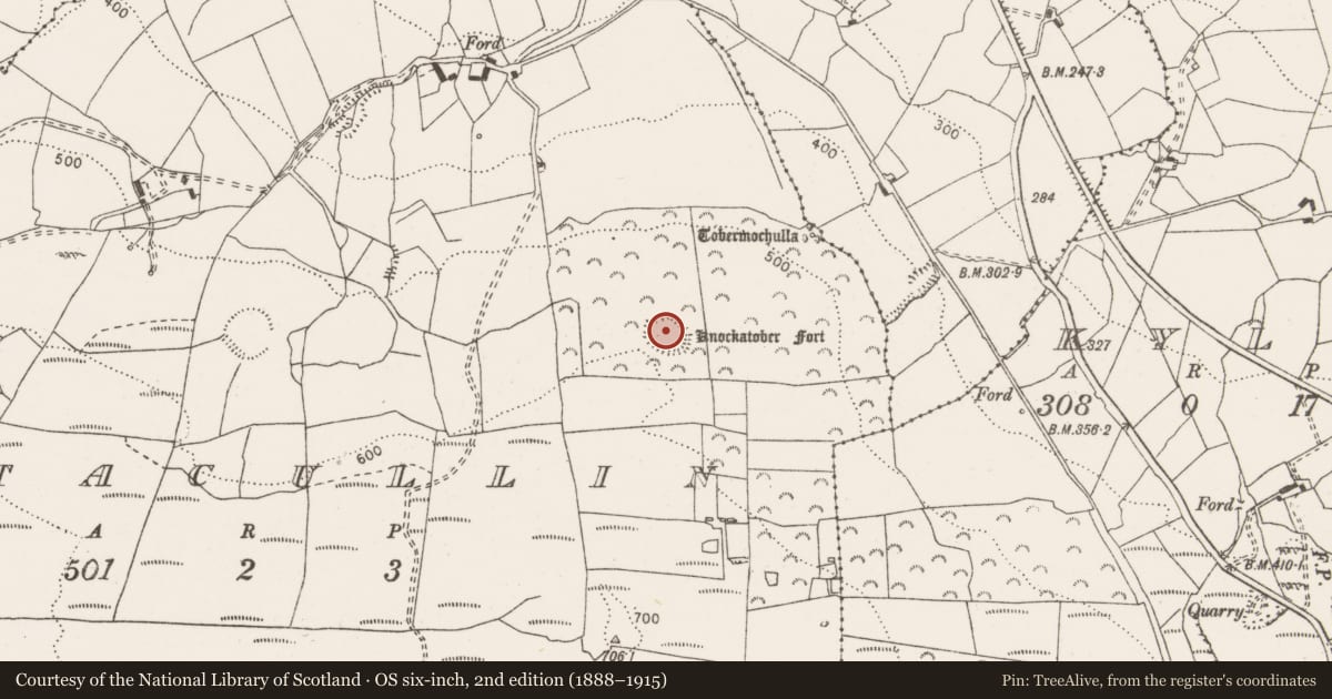 Ordnance Survey six-inch map, 2nd edition (1888–1915) covering the location of Enclosure, Gortacullin, County Clare, with a pin at the register's coordinates