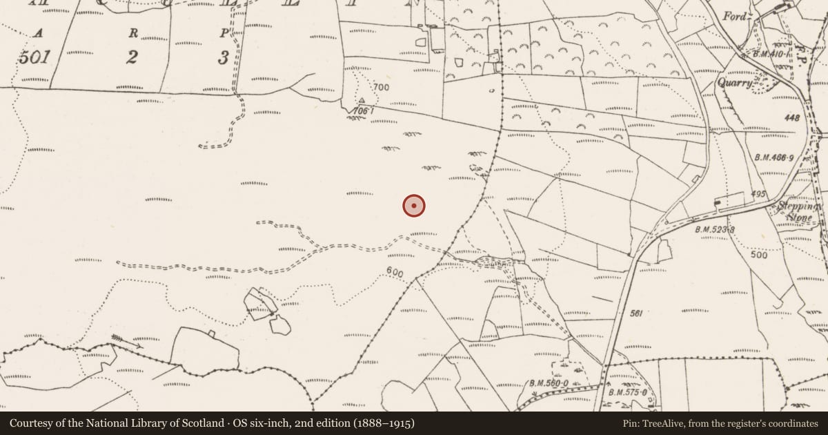 Ordnance Survey six-inch map, 2nd edition (1888–1915) covering the location of Megalithic tomb - wedge tomb, Gortacullin, County Clare, with a pin at the register's coordinates