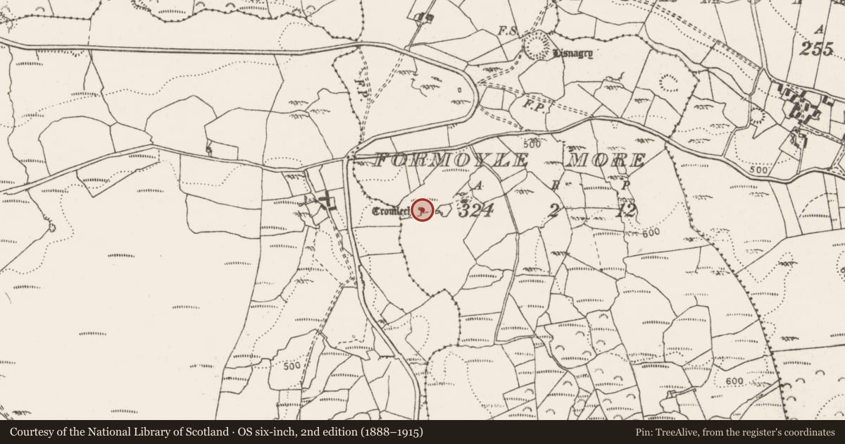 Ordnance Survey six-inch map, 2nd edition (1888–1915) covering the location of Megalithic tomb - wedge tomb, Formoyle More, County Clare, with a pin at the register's coordinates