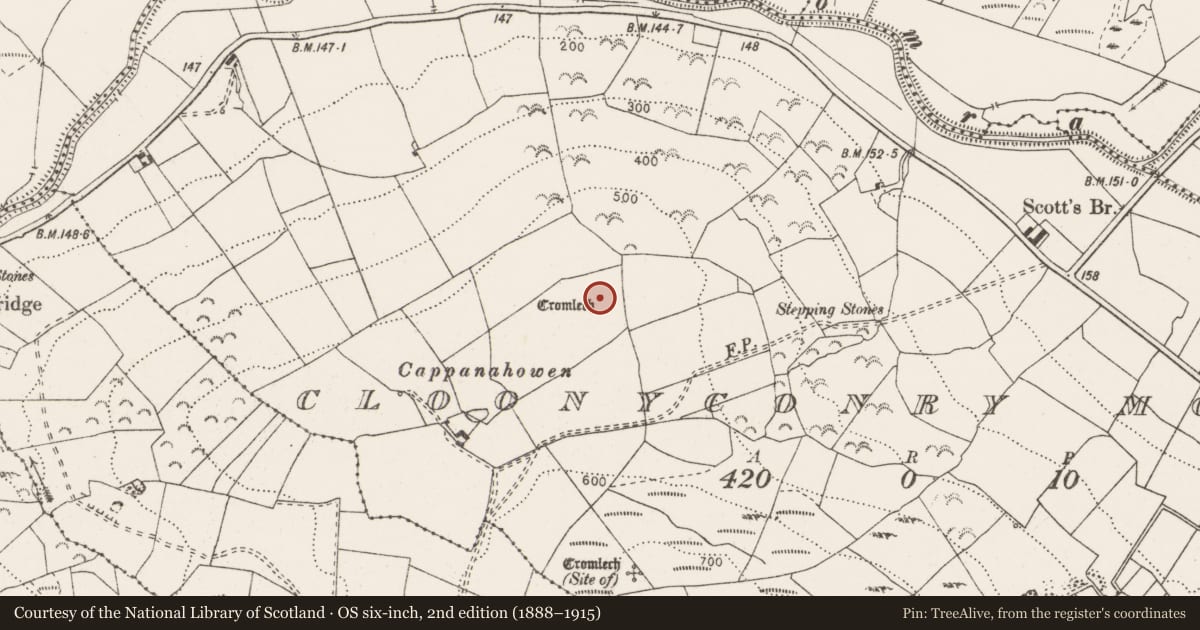 Ordnance Survey six-inch map, 2nd edition (1888–1915) covering the location of Megalithic tomb - wedge tomb, Cloonyconry More, County Clare, with a pin at the register's coordinates