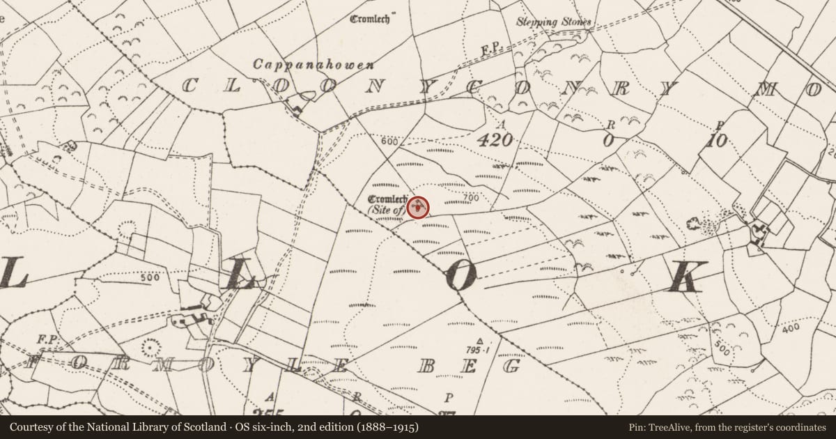 Ordnance Survey six-inch map, 2nd edition (1888–1915) covering the location of Megalithic structure, Cloonyconry More, County Clare, with a pin at the register's coordinates