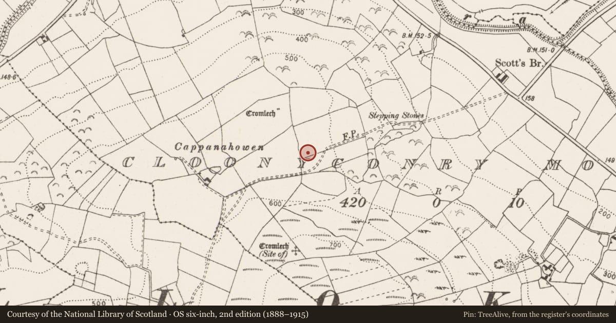 Ordnance Survey six-inch map, 2nd edition (1888–1915) covering the location of Megalithic tomb - wedge tomb, Cloonyconry More, County Clare, with a pin at the register's coordinates