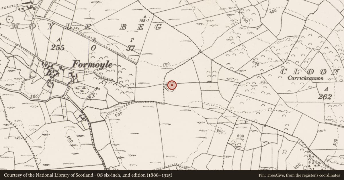 Ordnance Survey six-inch map, 2nd edition (1888–1915) covering the location of Enclosure, Cappanaslish, County Clare, with a pin at the register's coordinates