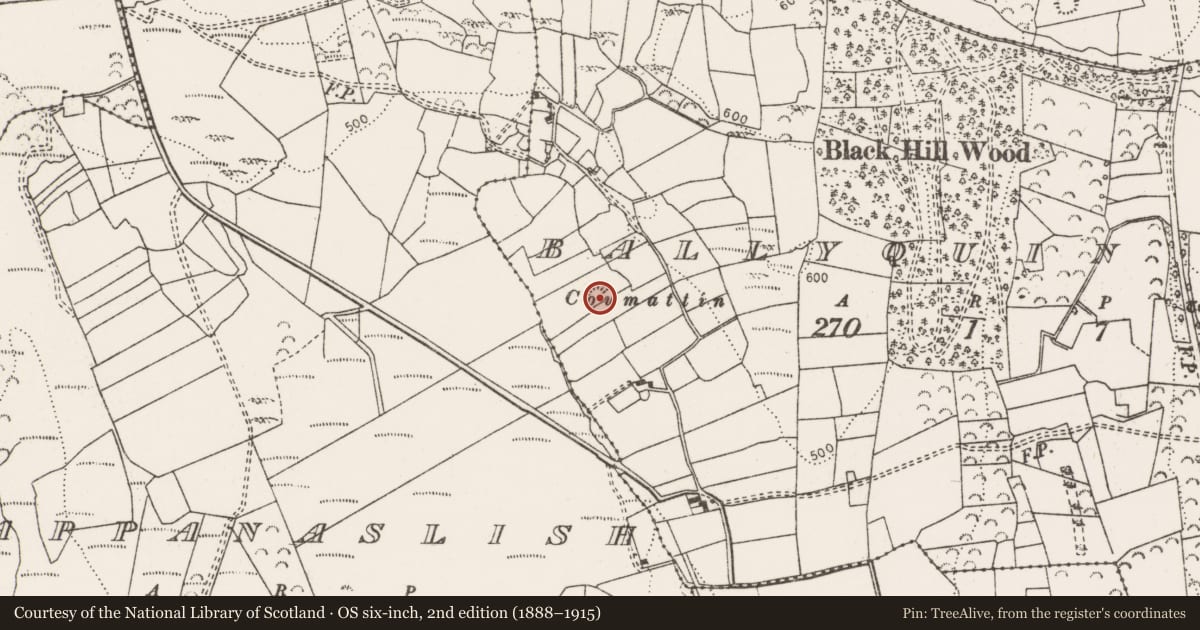 Ordnance Survey six-inch map, 2nd edition (1888–1915) covering the location of Enclosure, Ballyquin Beg, County Clare, with a pin at the register's coordinates