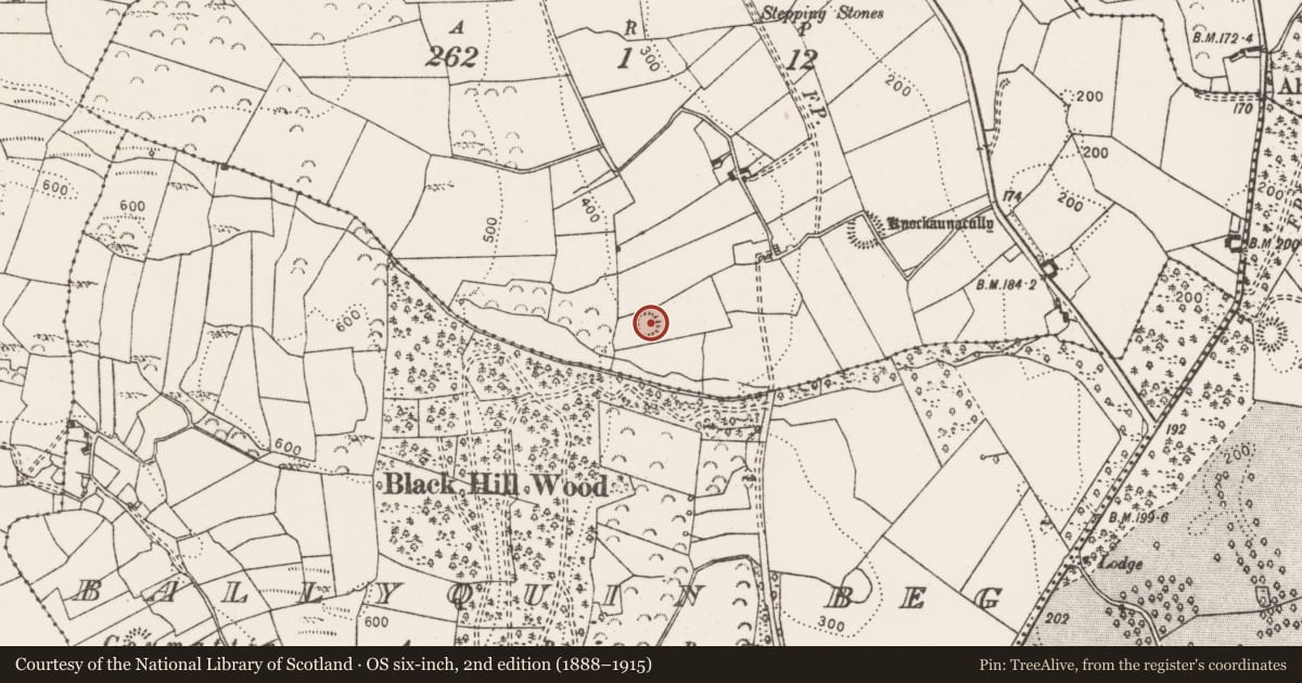 Ordnance Survey six-inch map, 2nd edition (1888–1915) covering the location of Enclosure, Cloonyconry Beg, County Clare, with a pin at the register's coordinates