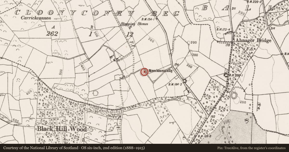 Ordnance Survey six-inch map, 2nd edition (1888–1915) covering the location of Enclosure, Cloonyconry Beg, County Clare, with a pin at the register's coordinates