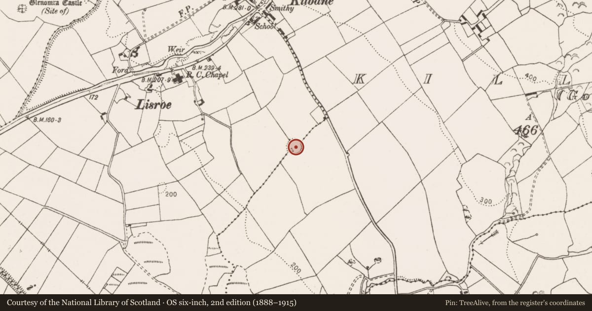 Ordnance Survey six-inch map, 2nd edition (1888–1915) covering the location of Enclosure, Kilbane, Killeagy (Goonan), County Clare, with a pin at the register's coordinates