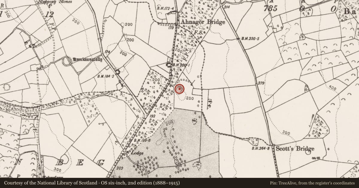 Ordnance Survey six-inch map, 2nd edition (1888–1915) covering the location of Enclosure, Ballyquin More, County Clare, with a pin at the register's coordinates