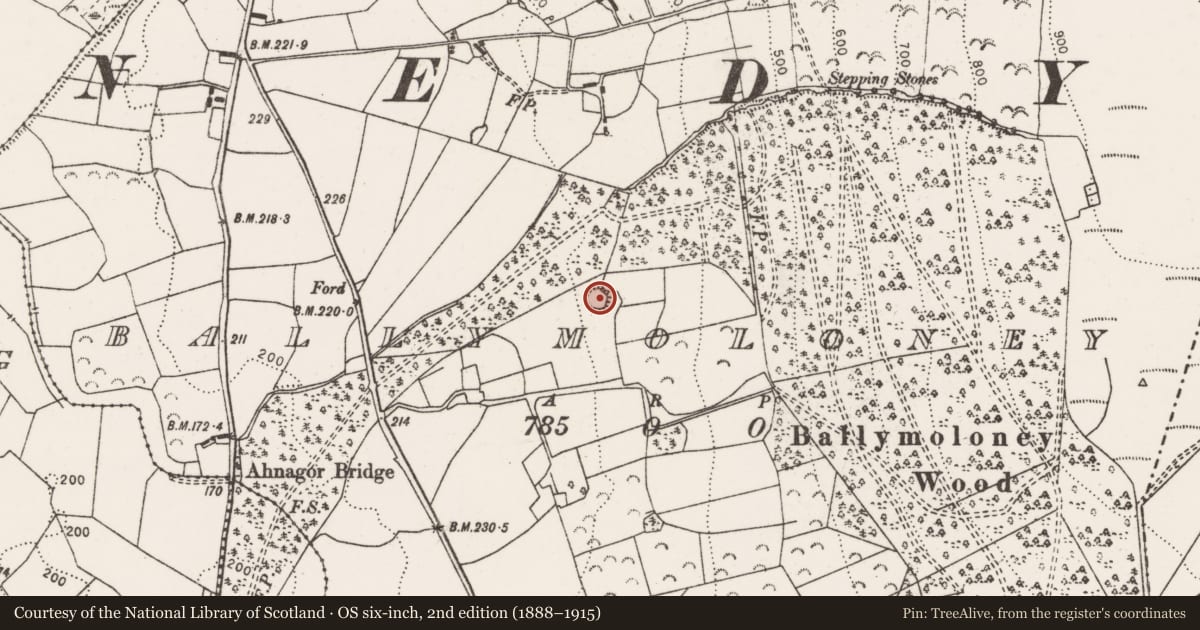 Ordnance Survey six-inch map, 2nd edition (1888–1915) covering the location of Enclosure, Ballymoloney, County Clare, with a pin at the register's coordinates