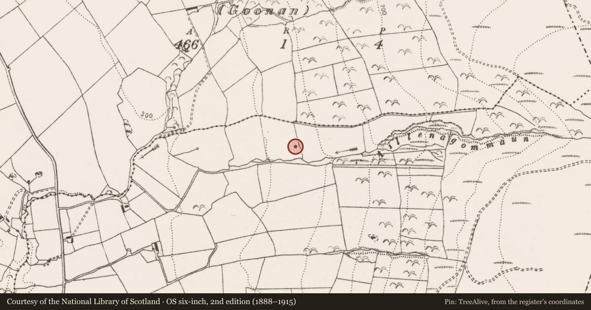 Ordnance Survey six-inch map, 2nd edition (1888–1915) covering the location of Enclosure, Ballymoloney, County Clare, with a pin at the register's coordinates