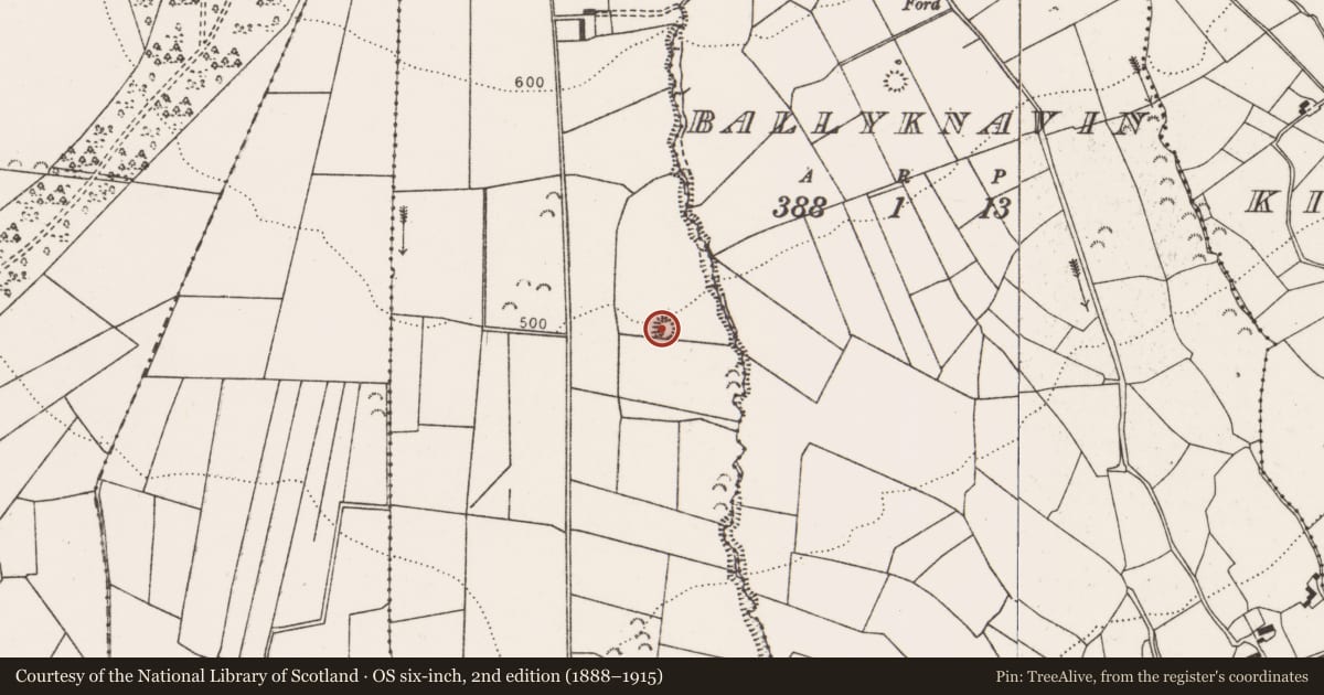 Ordnance Survey six-inch map, 2nd edition (1888–1915) covering the location of Enclosure, Fahy Beg, County Clare, with a pin at the register's coordinates