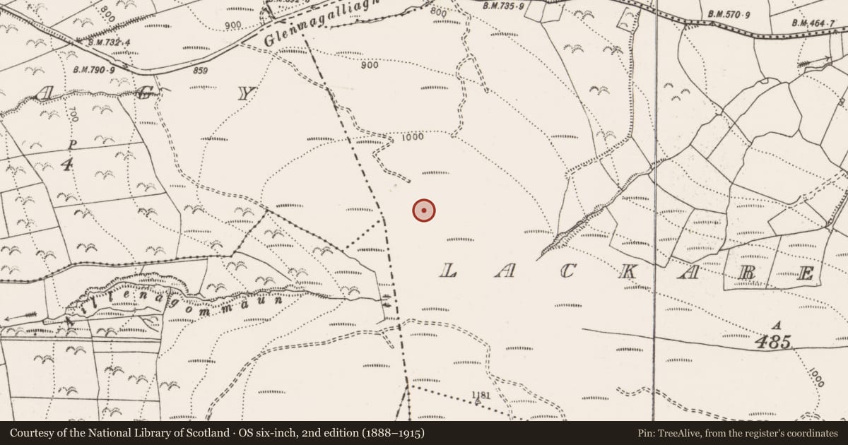 Ordnance Survey six-inch map, 2nd edition (1888–1915) covering the location of Cairn - unclassified, Lackareagh Beg, County Clare, with a pin at the register's coordinates