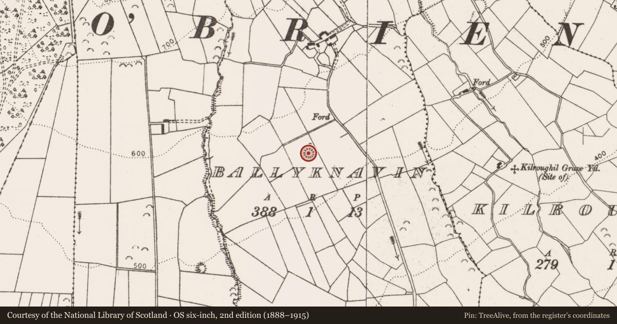 Ordnance Survey six-inch map, 2nd edition (1888–1915) covering the location of Enclosure, Ballyknavin, County Clare, with a pin at the register's coordinates