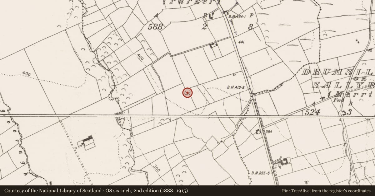 Ordnance Survey six-inch map, 2nd edition (1888–1915) covering the location of Enclosure, Drumsillagh Or Sallybank (Parker), County Clare, with a pin at the register's coordinates