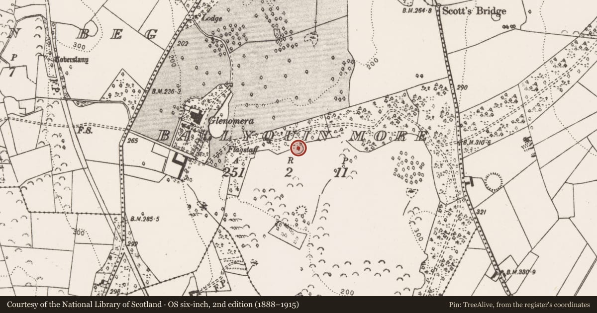Ordnance Survey six-inch map, 2nd edition (1888–1915) covering the location of Enclosure, Ballyquin More, County Clare, with a pin at the register's coordinates