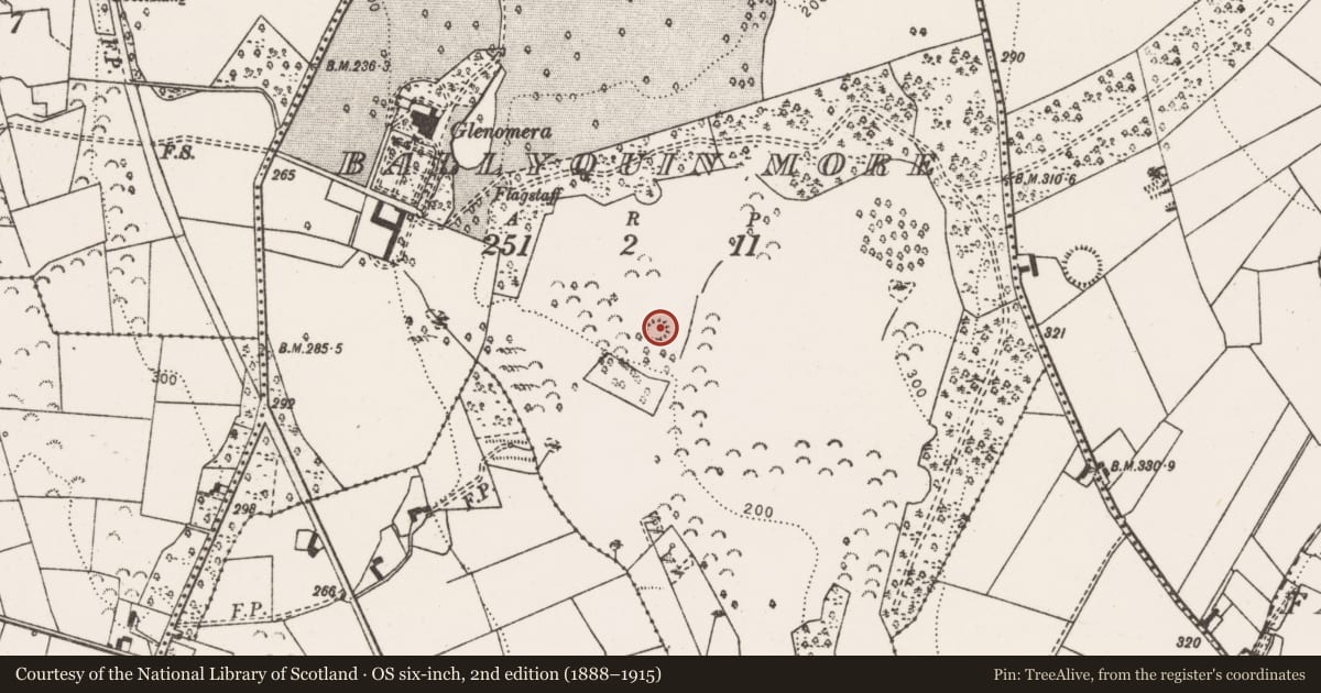 Ordnance Survey six-inch map, 2nd edition (1888–1915) covering the location of Enclosure, Ballyquin More, County Clare, with a pin at the register's coordinates