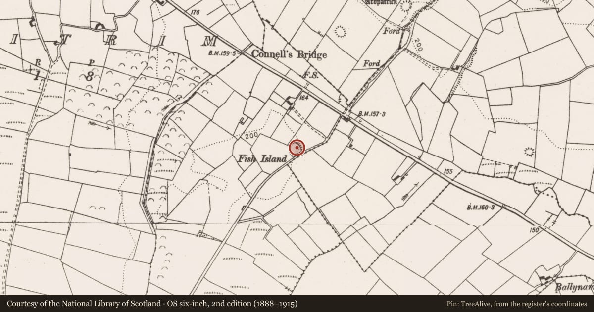 Ordnance Survey six-inch map, 2nd edition (1888–1915) covering the location of Enclosure, Fahy More South, County Clare, with a pin at the register's coordinates