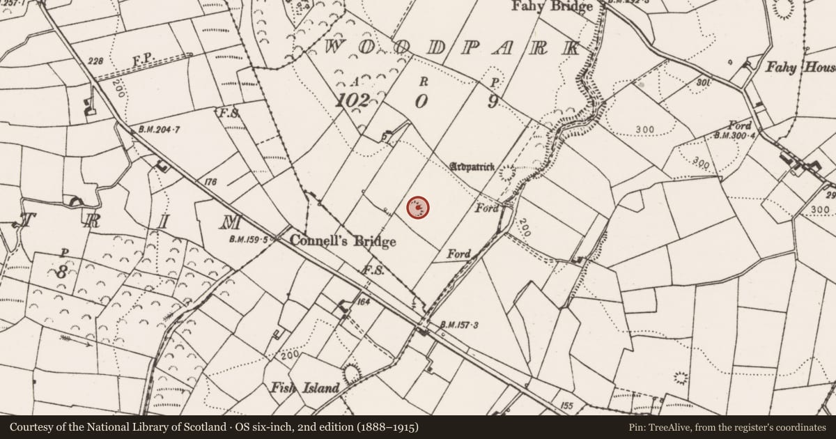 Ordnance Survey six-inch map, 2nd edition (1888–1915) covering the location of Enclosure, Woodpark, County Clare, with a pin at the register's coordinates