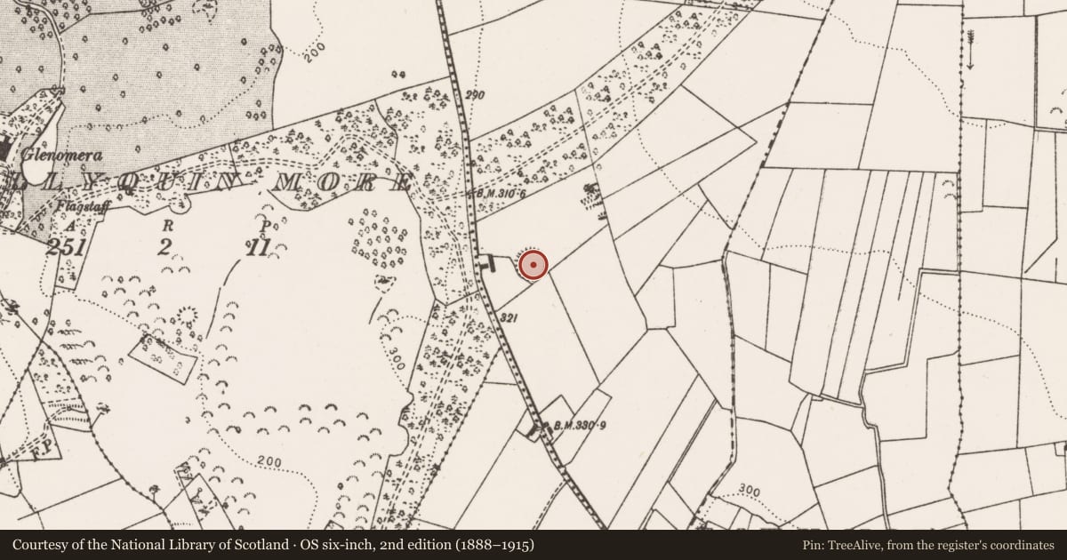 Ordnance Survey six-inch map, 2nd edition (1888–1915) covering the location of Enclosure, Ballymoloney, County Clare, with a pin at the register's coordinates
