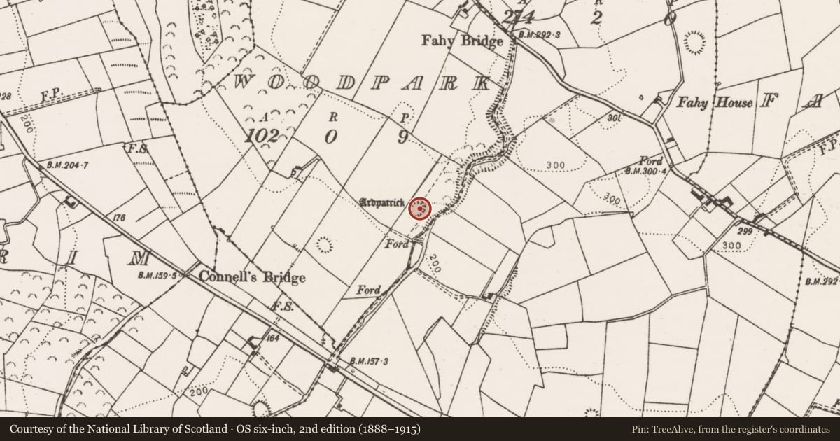 Ordnance Survey six-inch map, 2nd edition (1888–1915) covering the location of Enclosure, Woodpark, County Clare, with a pin at the register's coordinates
