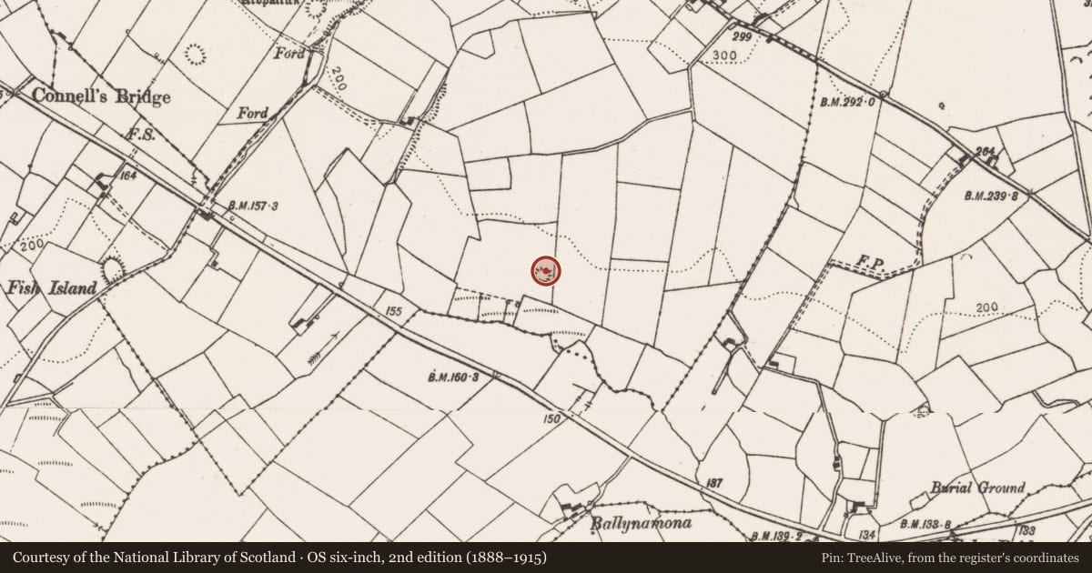 Ordnance Survey six-inch map, 2nd edition (1888–1915) covering the location of Enclosure, Fahy More North, County Clare, with a pin at the register's coordinates