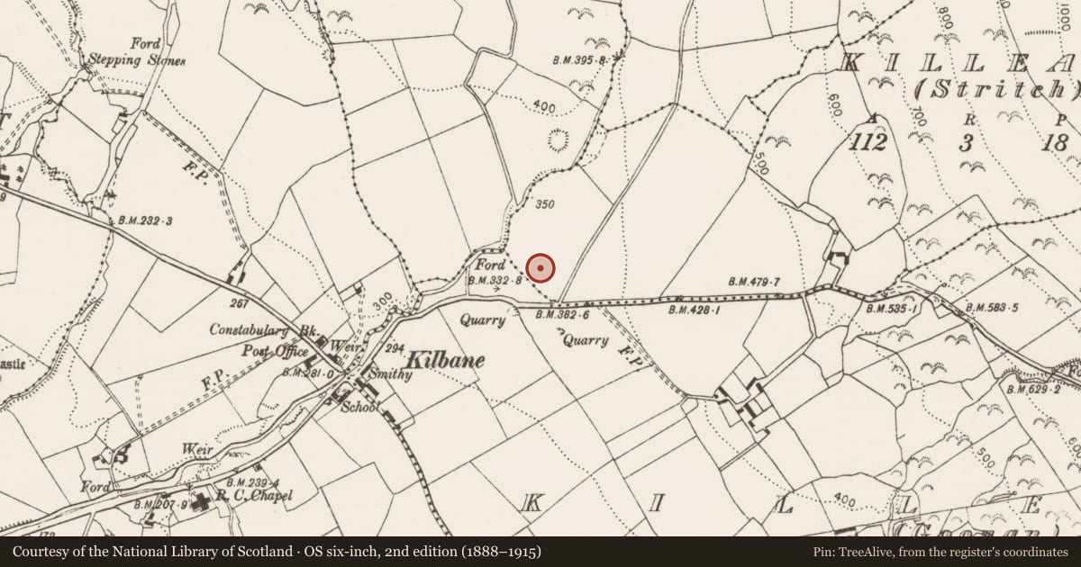 Ordnance Survey six-inch map, 2nd edition (1888–1915) covering the location of Enclosure, Killeagy (Stritch), County Clare, with a pin at the register's coordinates