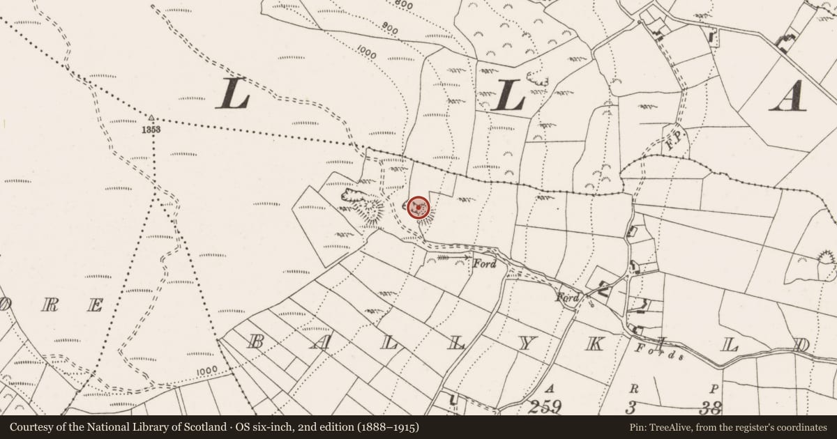 Ordnance Survey six-inch map, 2nd edition (1888–1915) covering the location of Enclosure, Ballykildea, County Clare, with a pin at the register's coordinates