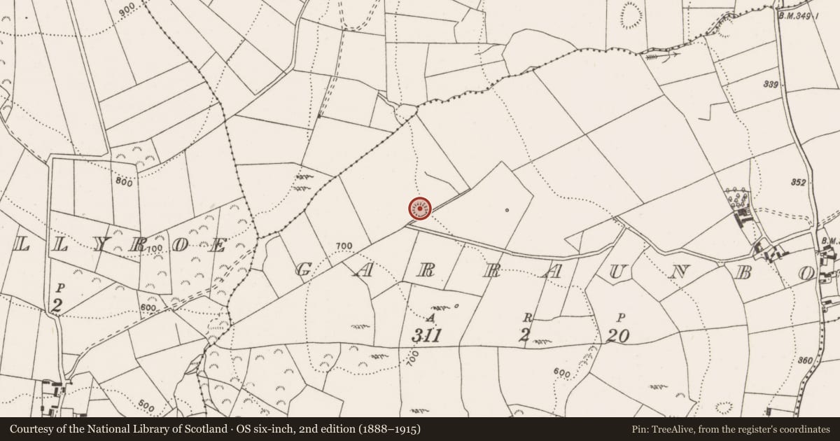 Ordnance Survey six-inch map, 2nd edition (1888–1915) covering the location of Enclosure, Garraunboy, County Clare, with a pin at the register's coordinates
